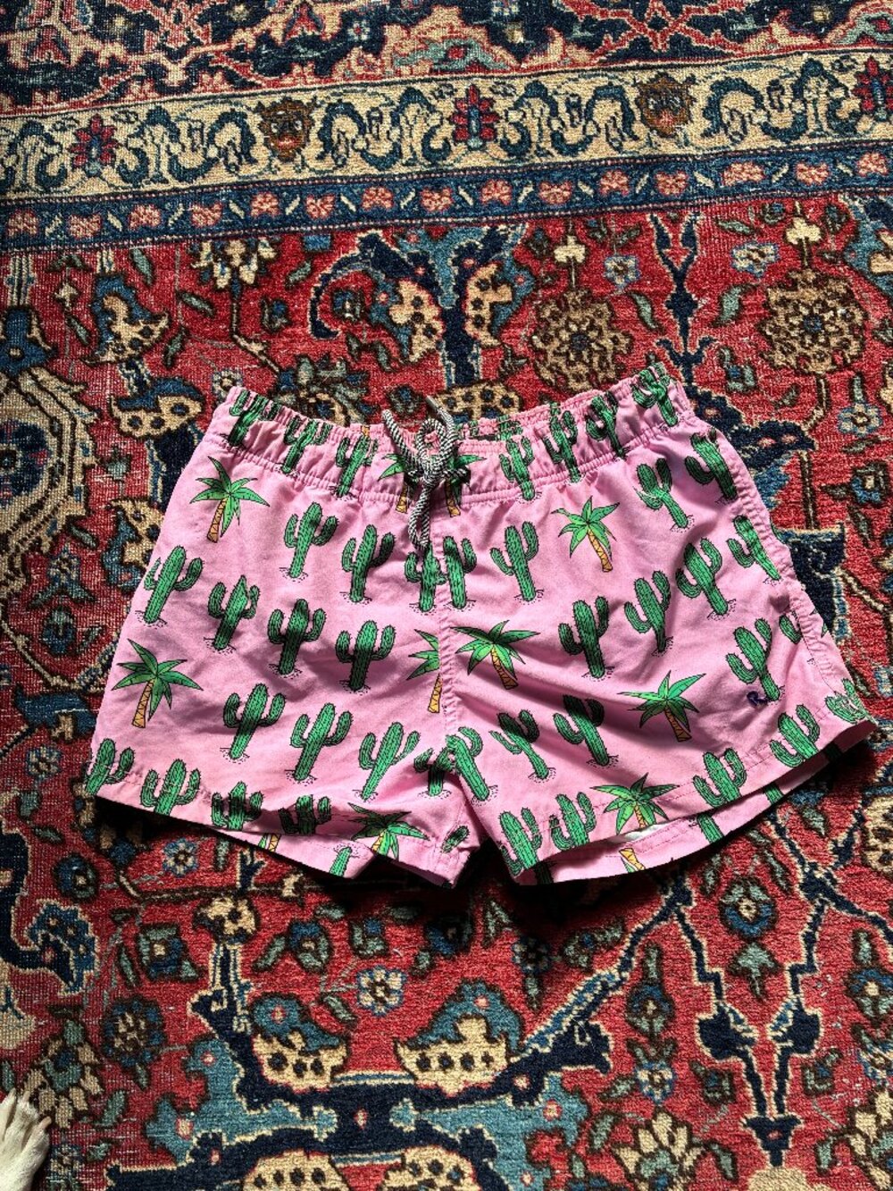 Palm Springs swim trunks
